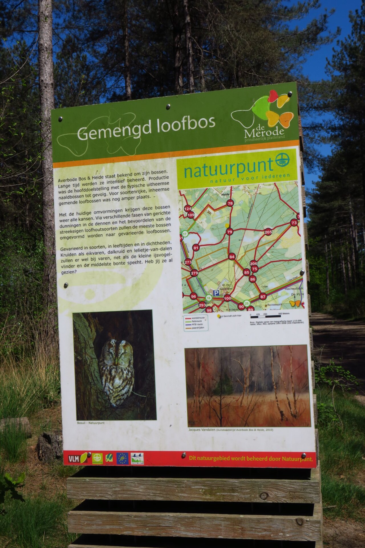 Bos & heide rond Averbode en Gerhagen